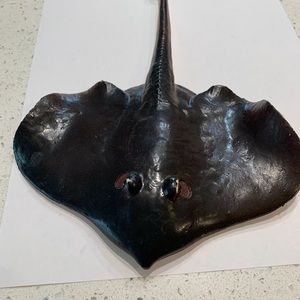 Vintage AAA Rubber Devil Fish toy from the 1990’s